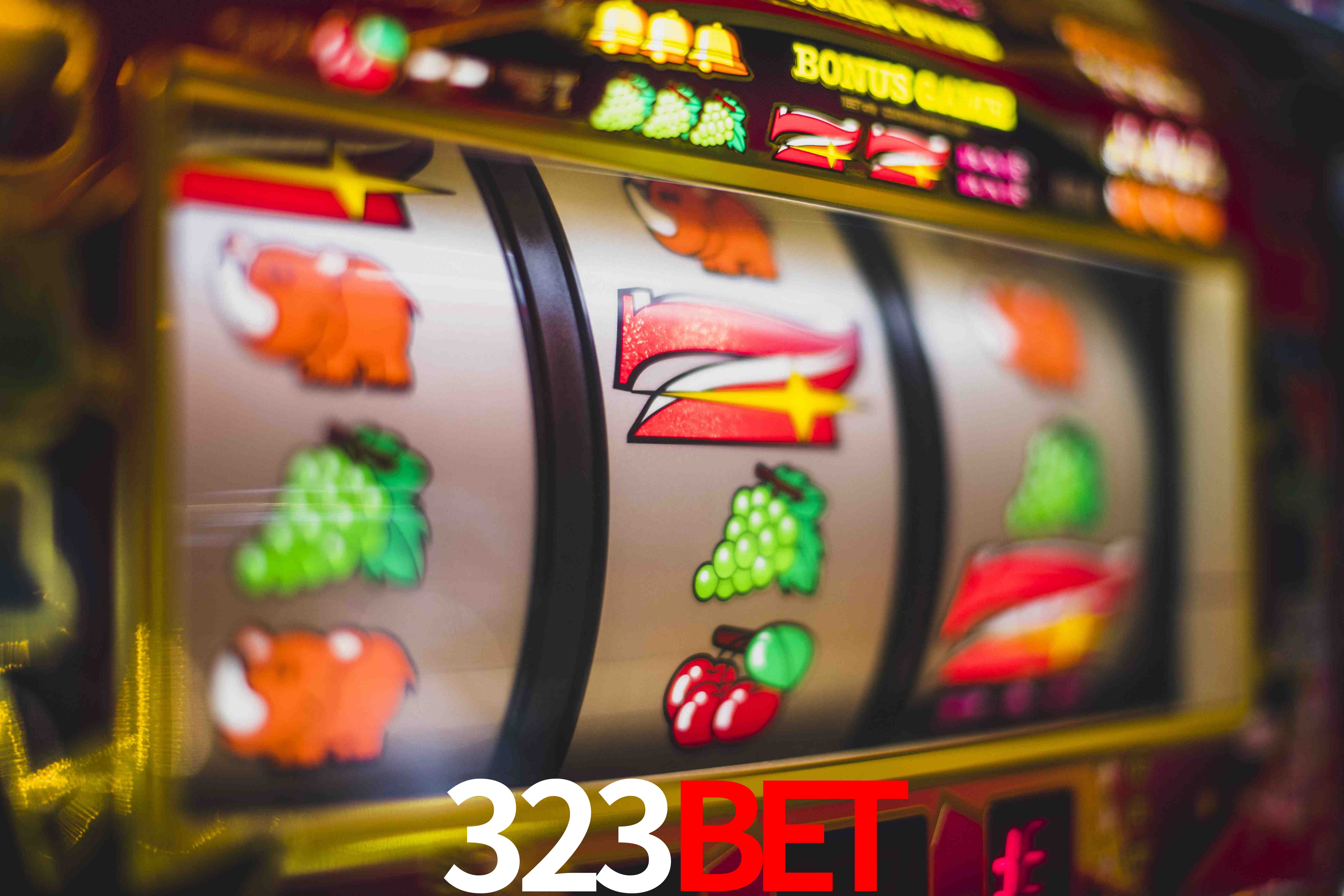 Tennis Betting 323Bet
